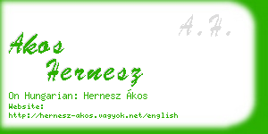 akos hernesz business card